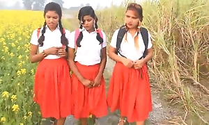 Outdoor indian school girl carnal knowledge romance hindi audio
