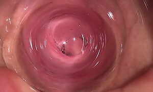 Cum inside my teen stepsister with an increment of show creampie unfathomable cavity inside pussy
